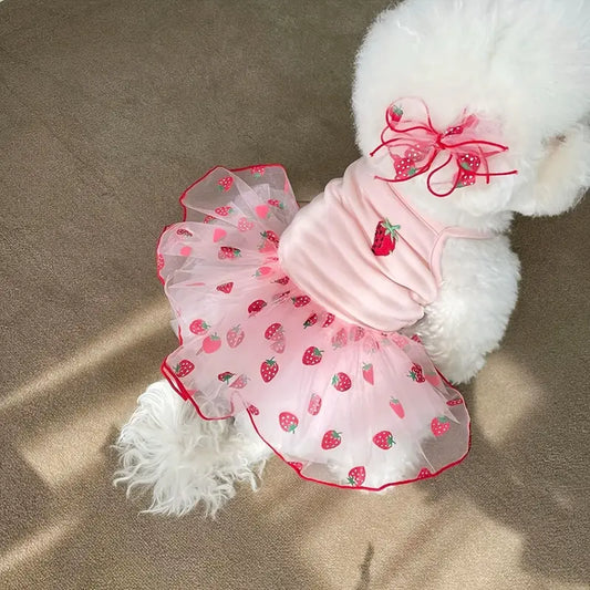 Chloe's Sweet Strawberry Tutu